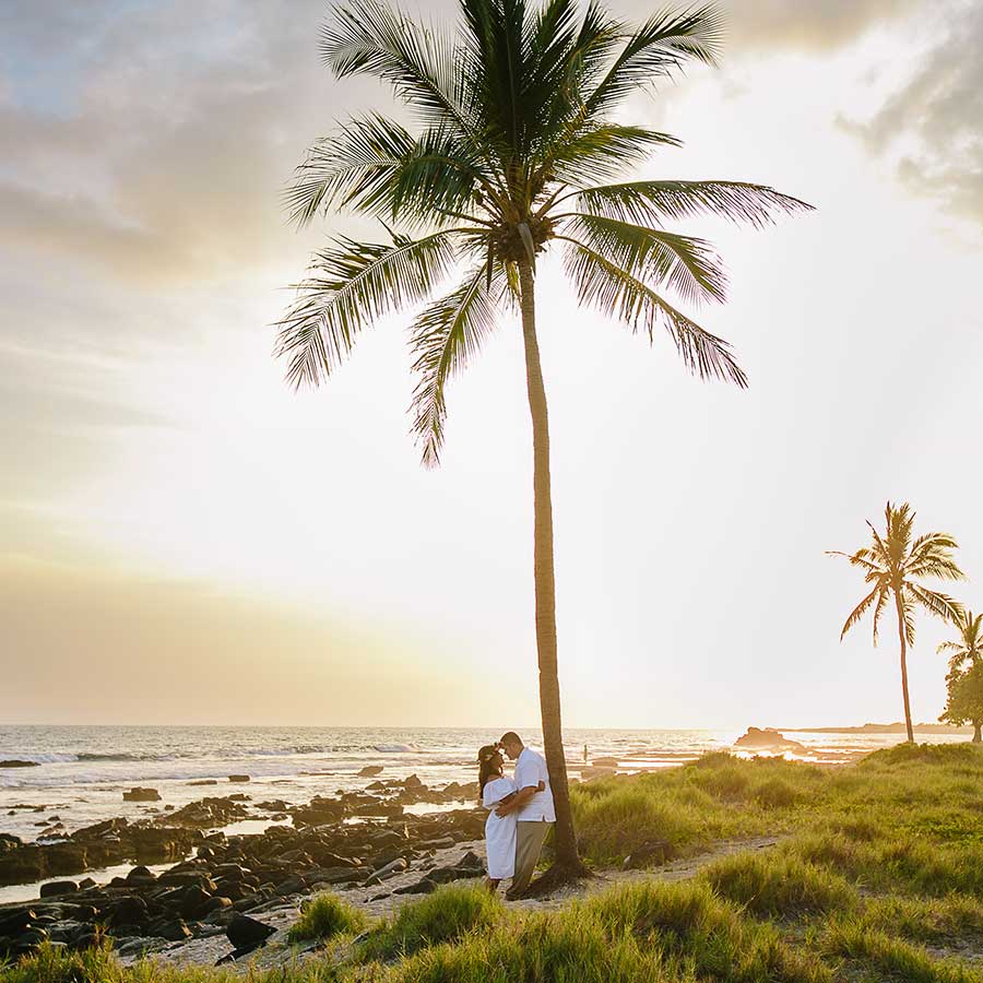 image of couple under a palm tree on the beach