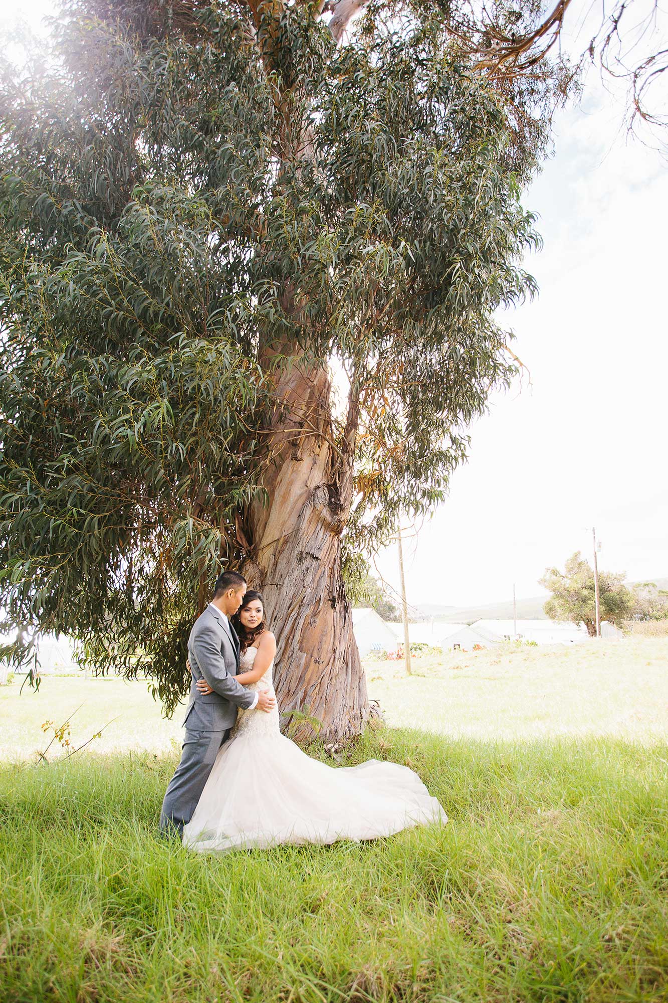 image of wedding couple near a tree